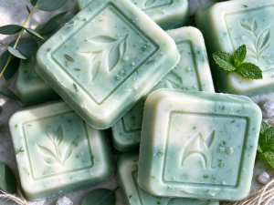 Eucalyptus & Mint Wax Melts